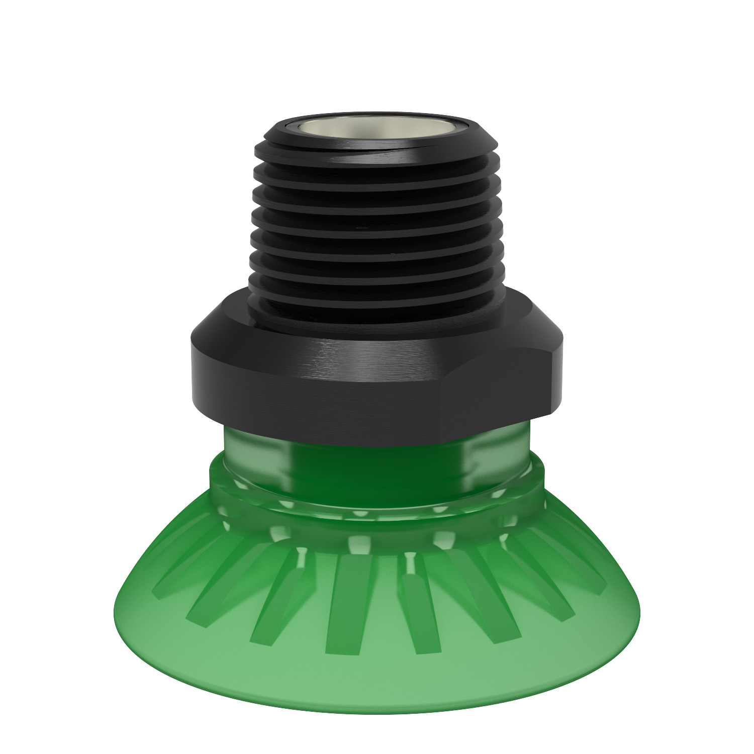 Suction cup FC35P Polyurethane 60, NPT3/8" male, with mesh filter - 1