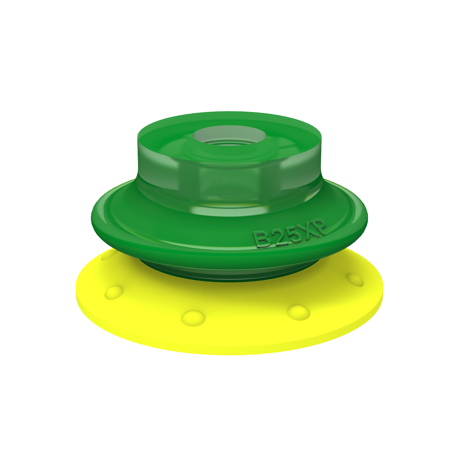 Suction cup B25XP Polyurethane 30/60 - 1