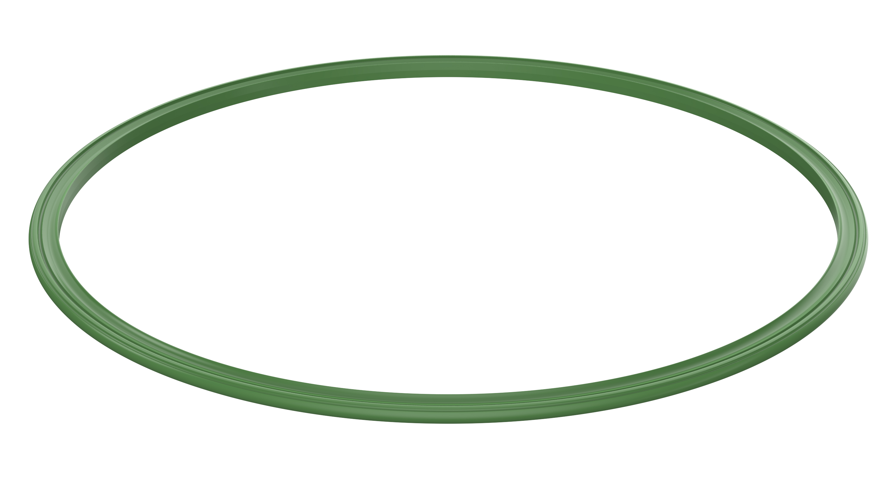 Module seal 56 FKM (piFLOW® p, t, fc)