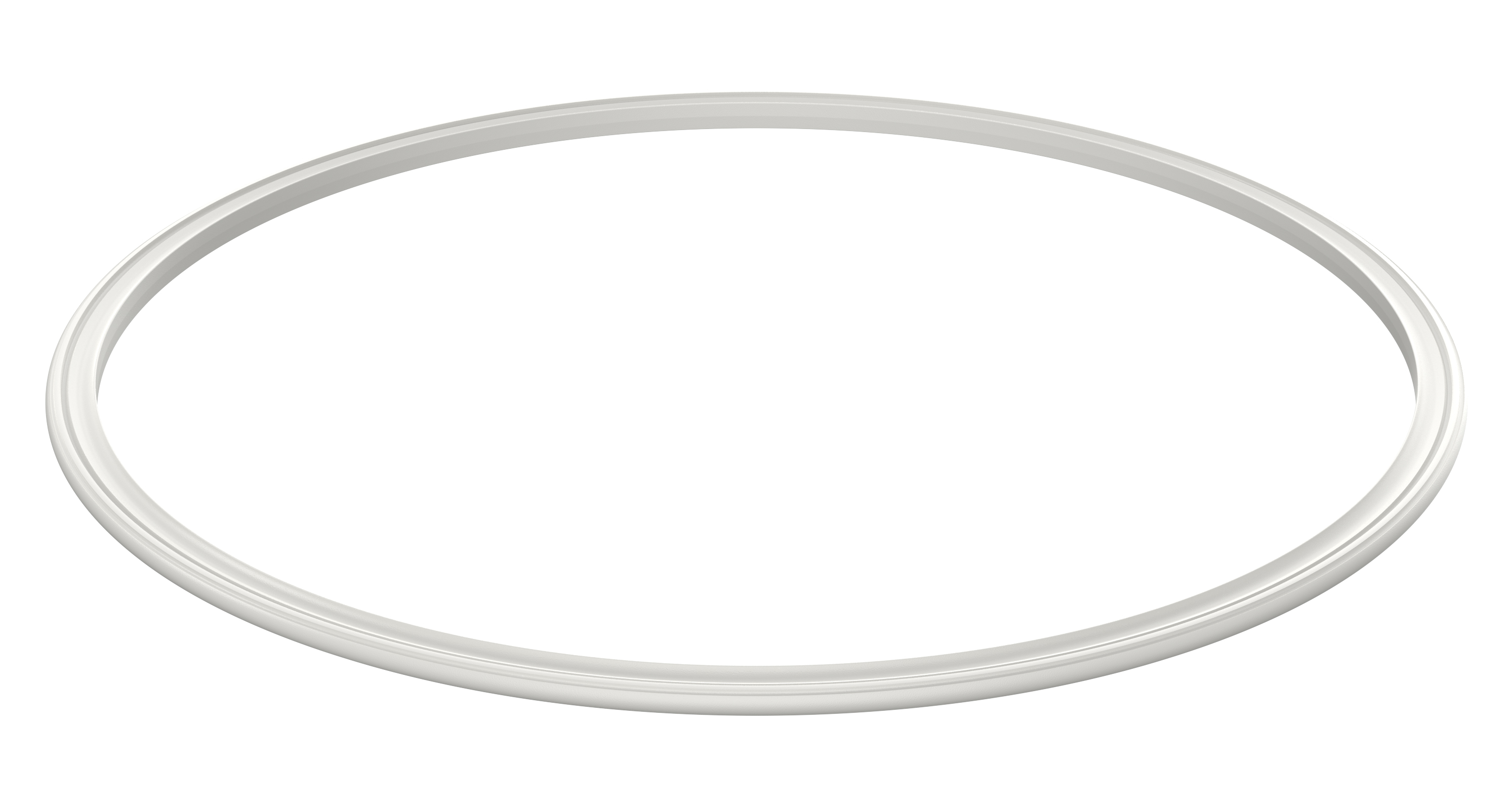 Module seal 56 Q FCM (piFLOW® p, t, fc)