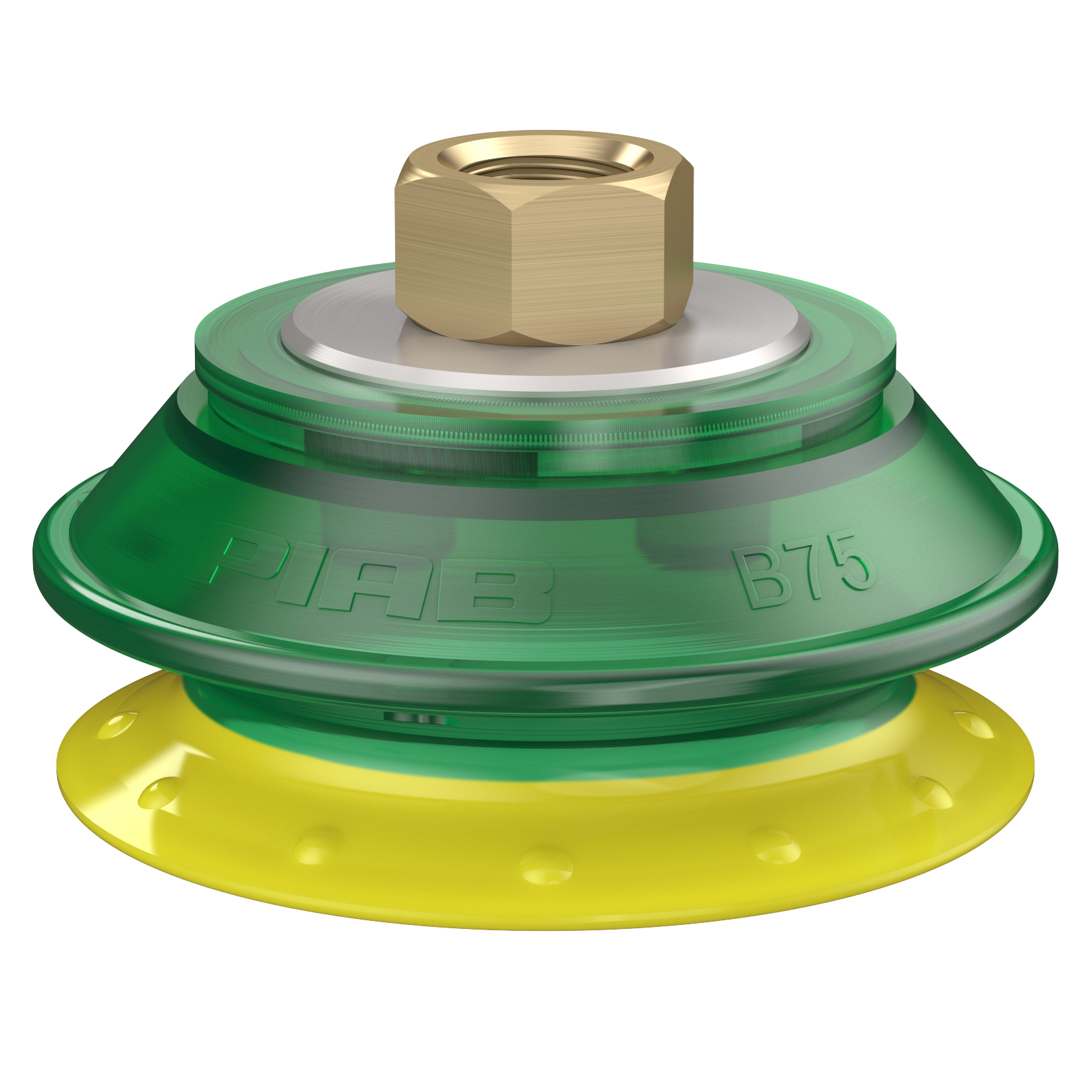 Suction cup B75P Polyurethane 30/60, brass 3/8" NPSF female - 1